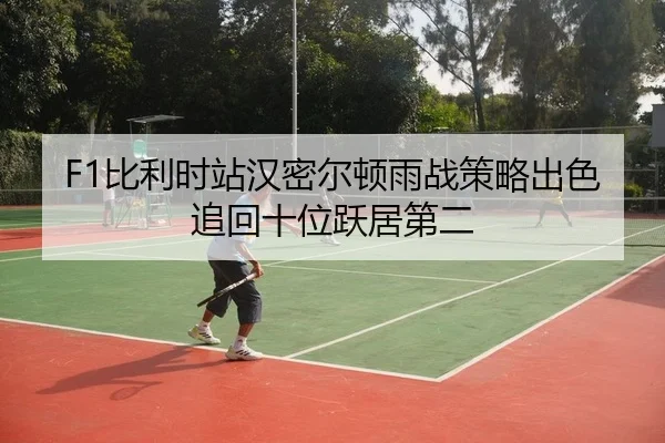 F1比利时站汉密尔顿雨战策略出色追回十位跃居第二